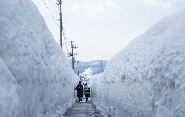 新潟の雪道