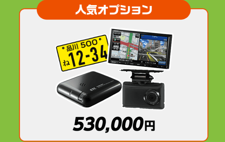 人気オプション 530,000円